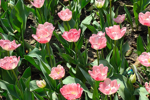 天门衣尚 潮动全球——2026天门纺织服装产业专题推介会即将启幕