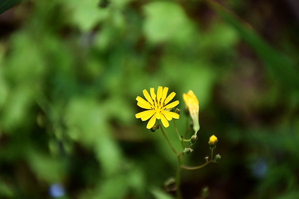 司法部负责人就《国务院关于产业链供应链安全的规定》答记者问